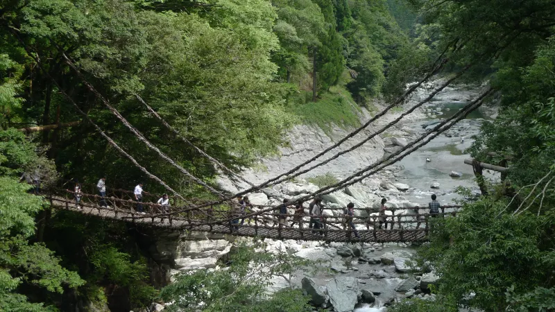 祖谷川に架かるかずら橋。写真は2010年撮影